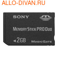 Sony Memory Stick Pro Duo 2 Gb, MSX-M2GSX