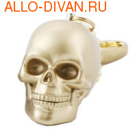 Jet.A Skull Gold 2Gb