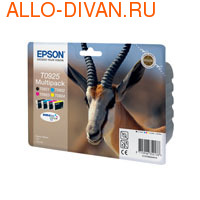 Epson T09254A10